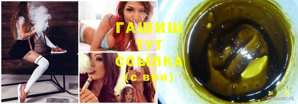 молекула духа Гусев