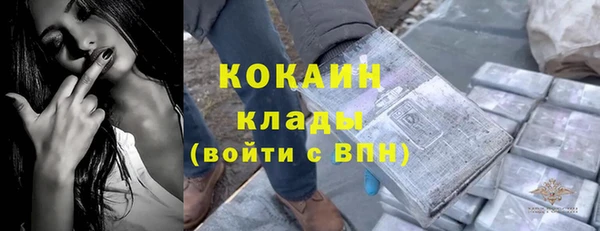 стаф Нефтегорск