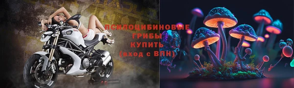 прущие крисы Ивангород