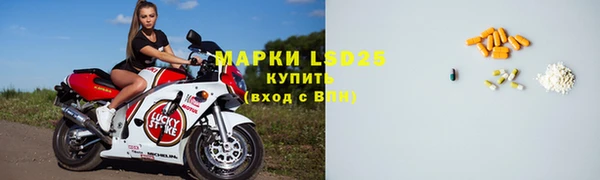 винт Гусь-Хрустальный
