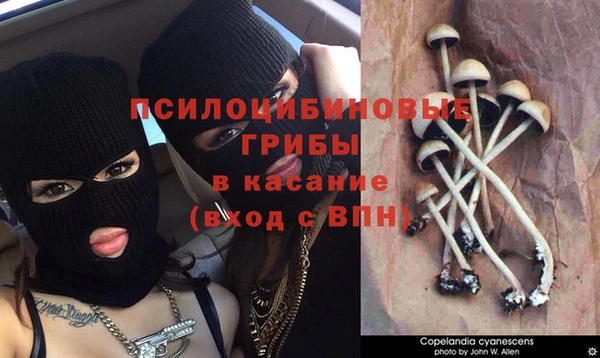 винт Гусь-Хрустальный